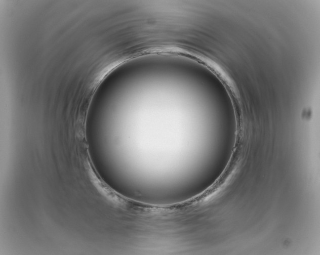 X0000091860905200709051205
