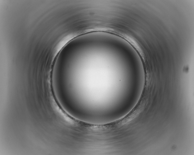 X0000091860906200709051205