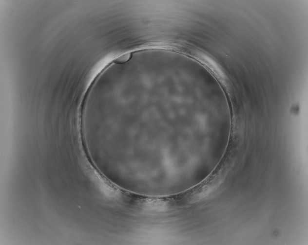 X0000091860907200709051205