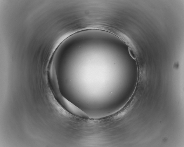 X0000091860908200709051205