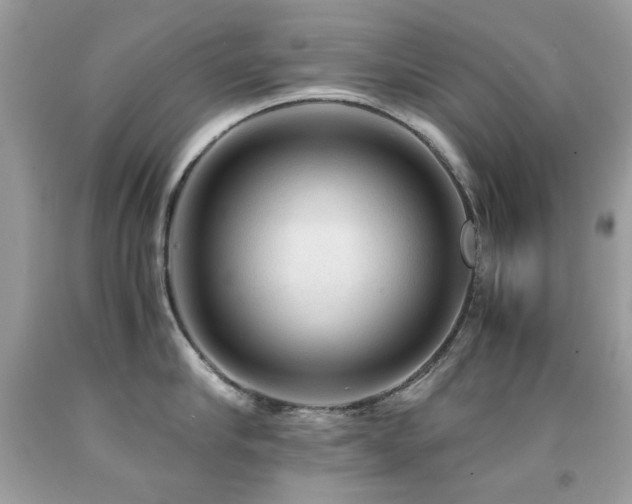 X0000091860910200709051205