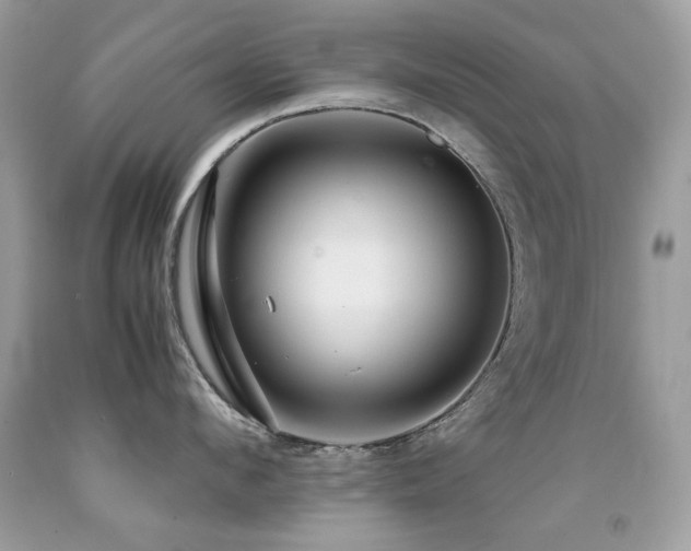 X0000091860912200709051205