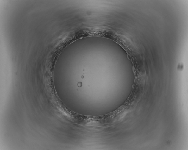 X0000091860913200709051205