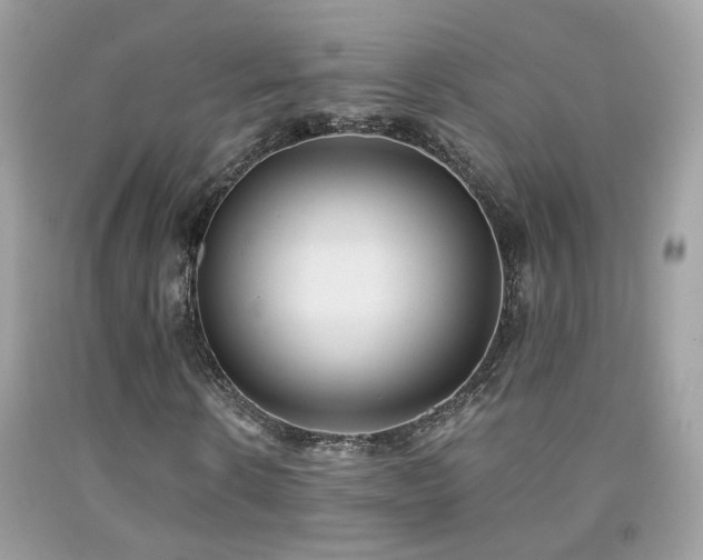 X0000091860914200709051205
