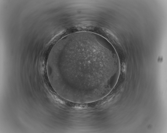 X0000091860915200709051205