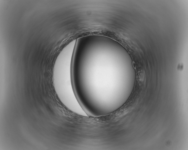 X0000091860916200709051205