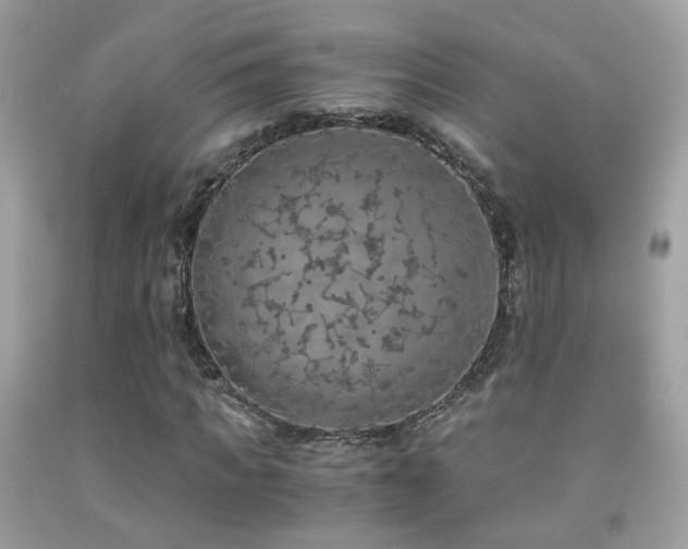 X0000091860917200709051205