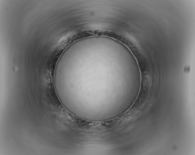 X0000091860918200709051205