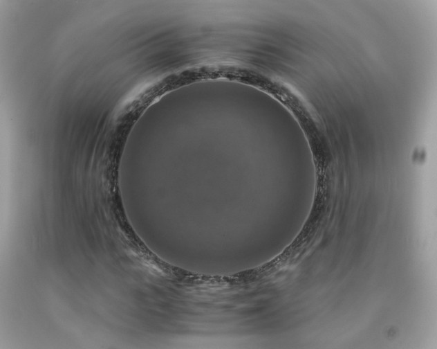 X0000091860919200709051205
