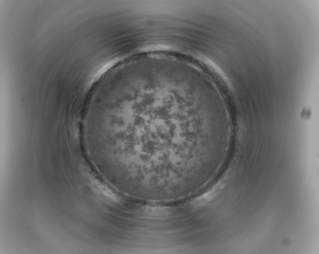 X0000091860921200709051205