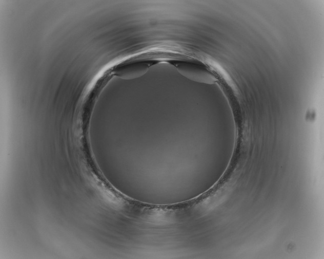 X0000091860923200709051205