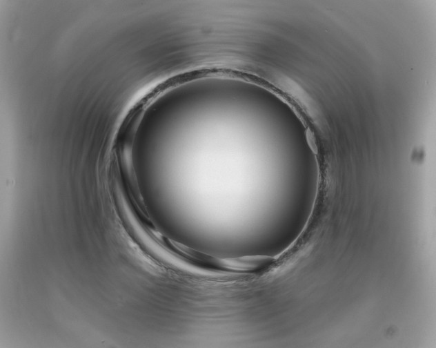 X0000091860924200709051205