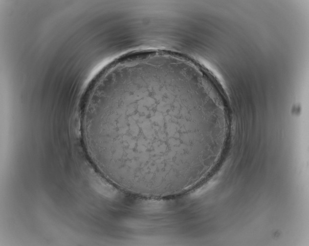 X0000091860925200709051205
