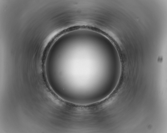 X0000091860927200709051205