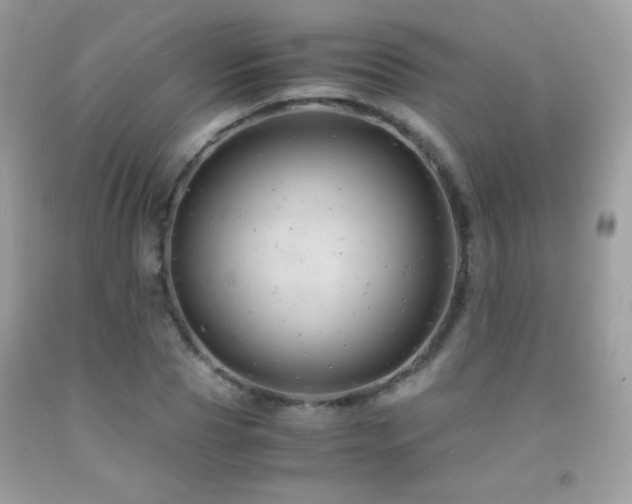 X0000091860929200709051205