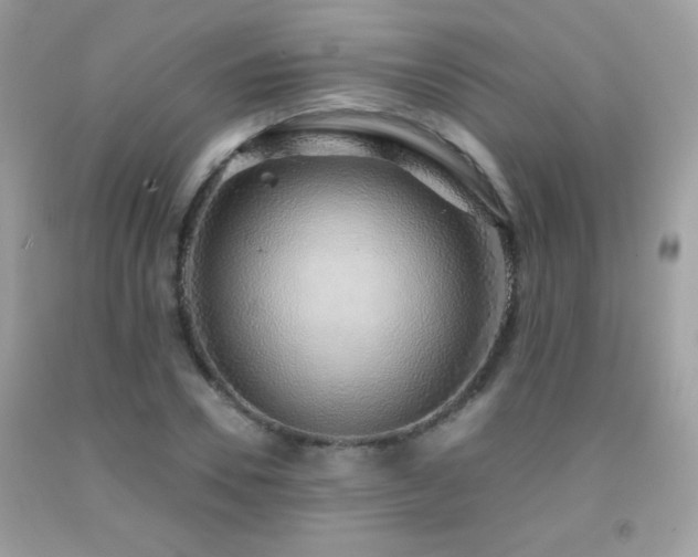 X0000091860930200709051205