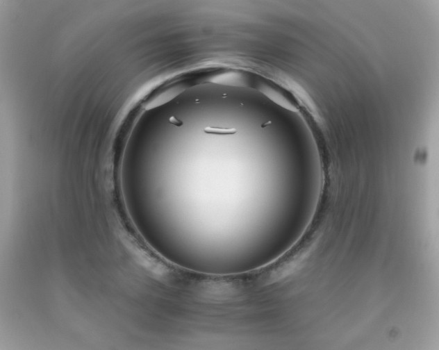 X0000091860931200709051205