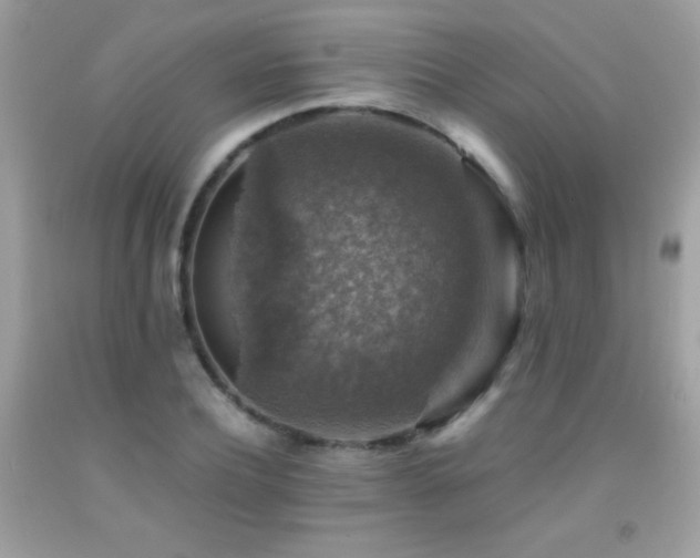 X0000091860932200709051205