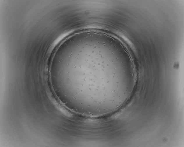 X0000091860933200709051205
