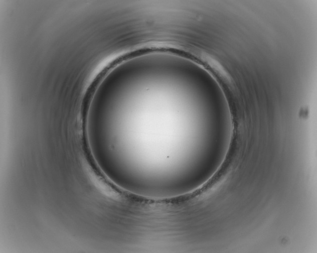 X0000091860934200709051205