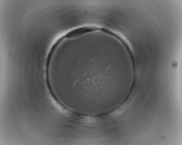 X0000091860935200709051205