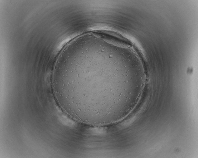 X0000091860937200709051205