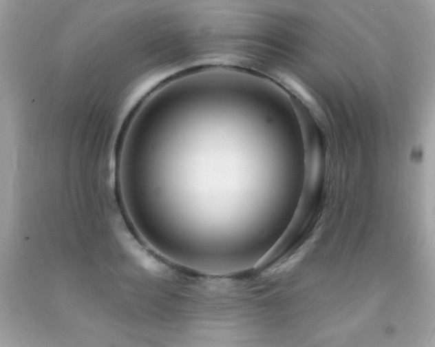 X0000091860940200709051205