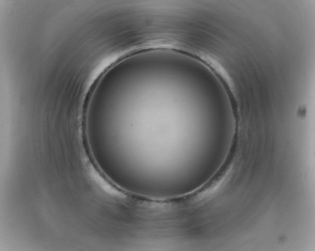X0000091860941200709051205