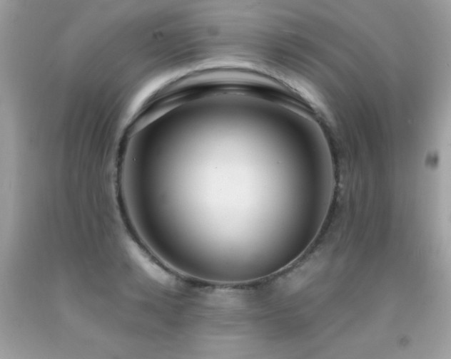 X0000091860942200709051205