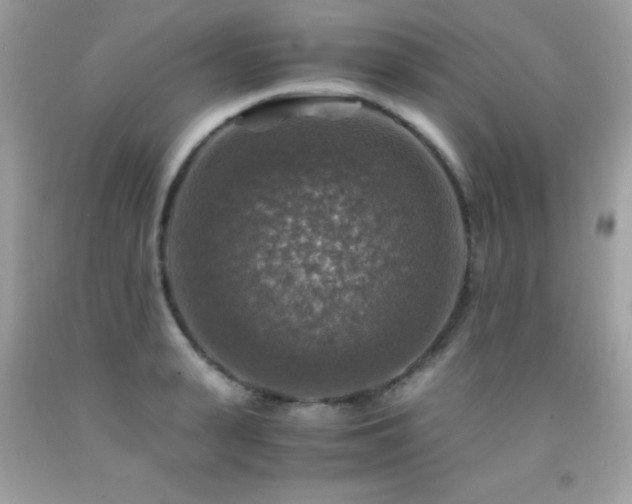 X0000091860943200709051205