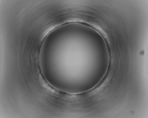 X0000091860945200709051205