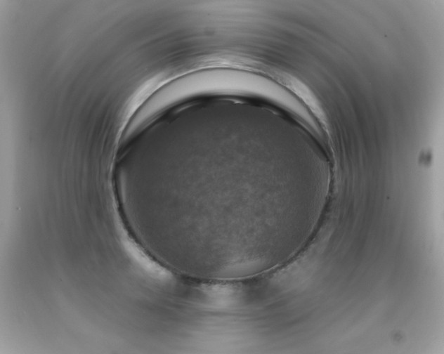 X0000091860946200709051205