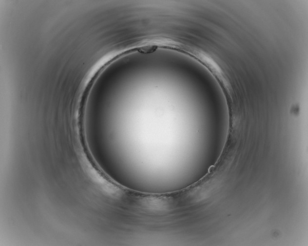 X0000091860947200709051205