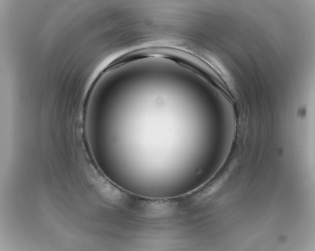 X0000091860948200709051205