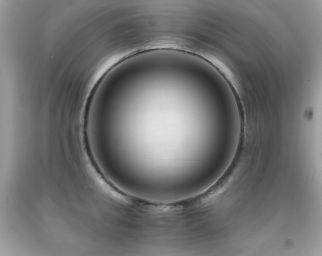 X0000091860949200709051205