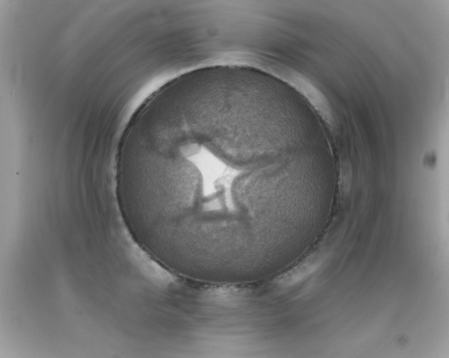 X0000091860950200709051205