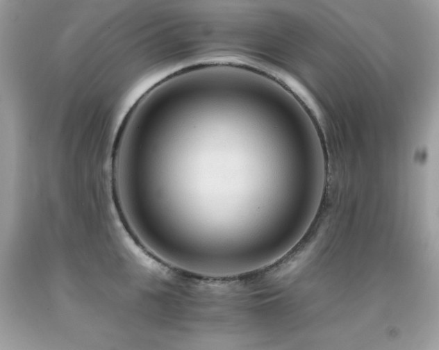X0000091860951200709051205