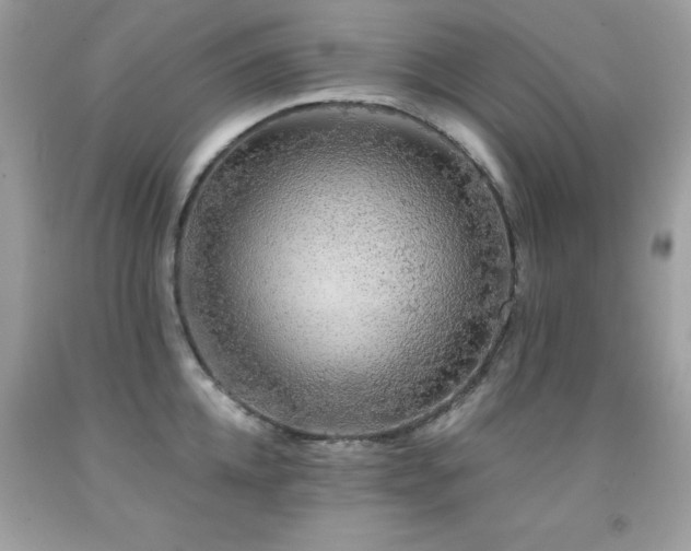 X0000091860952200709051205