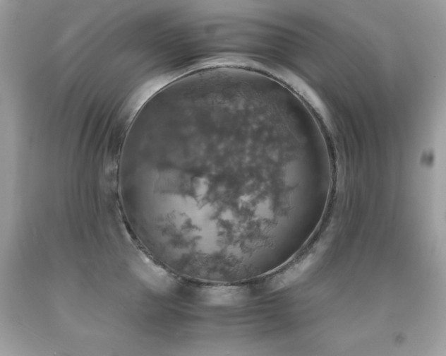 X0000091860953200709051205