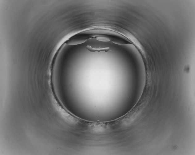 X0000091860955200709051205