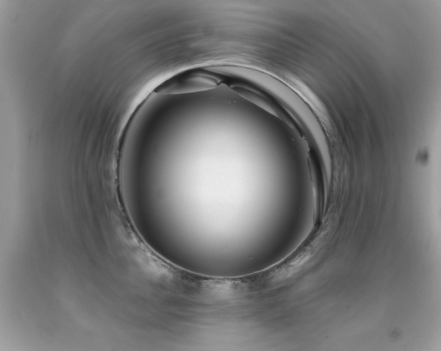 X0000091860956200709051205