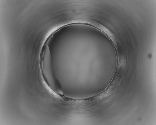 X0000091860958200709051205