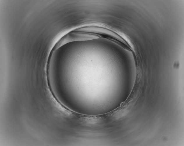 X0000091860959200709051205