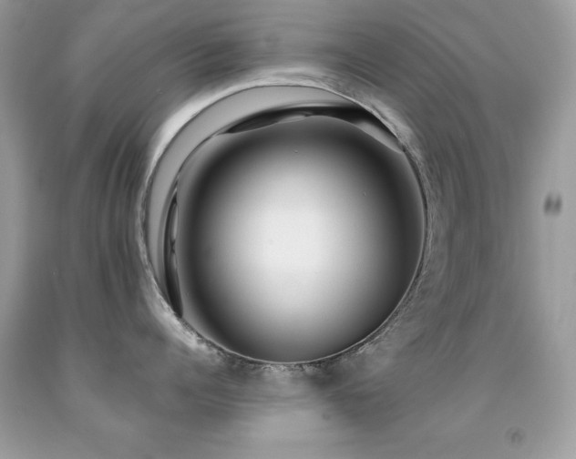 X0000091860960200709051205