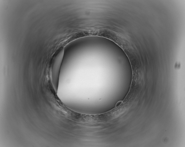 X0000091860962200709051205