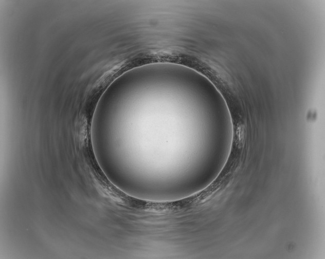 X0000091860963200709051205