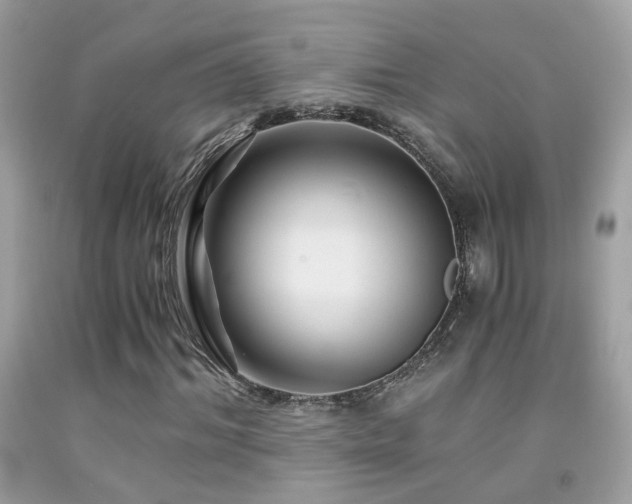 X0000091860964200709051205