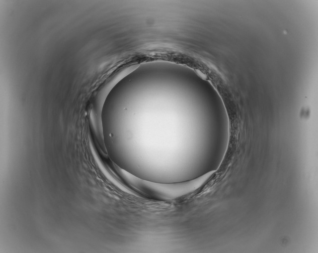 X0000091860965200709051205