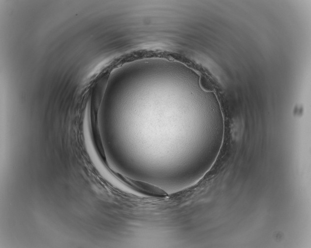 X0000091860968200709051205