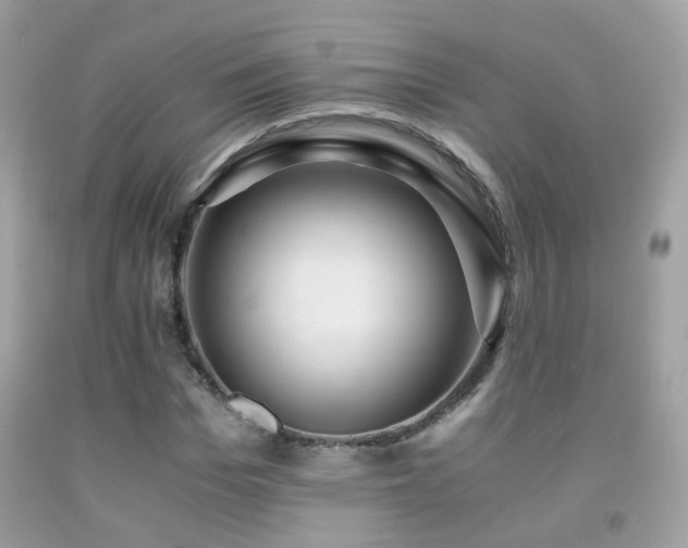 X0000091860969200709051205